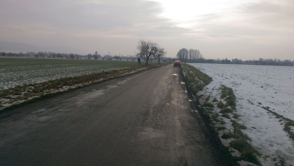 Ještě je naděje, že 2 stromy opodál naproti by mohli být též ony Libinské, ale přesvědčit se bude možné nejdříve v červenci/srpnu/září, budou-li ještě