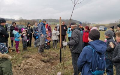 Úvodní instruktáž před zahájením výsadby