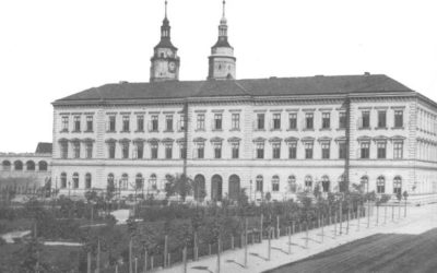 Městská Zeleň