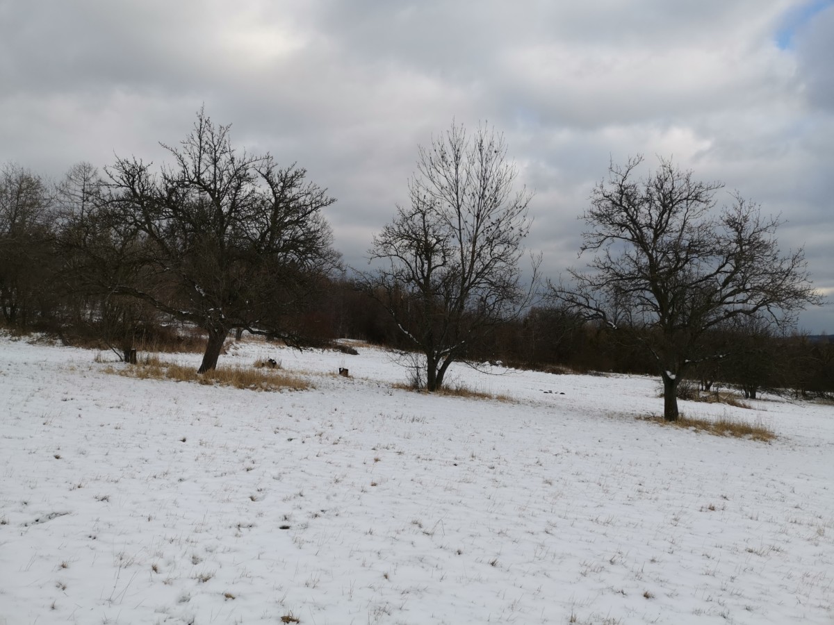 Nakonec i trocha sněhu v obcích Žáry a Česká ves